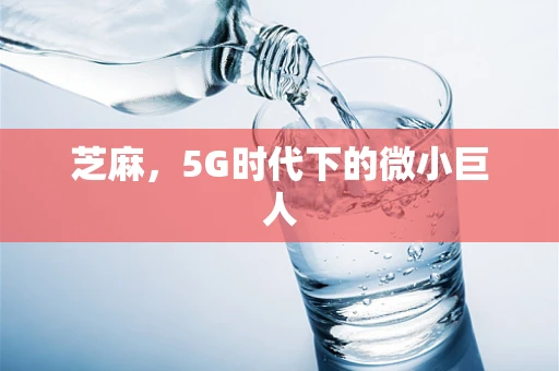 芝麻，5G时代下的微小巨人