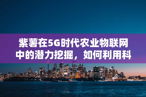 紫薯在5G时代农业物联网中的潜力挖掘，如何利用科技提升其种植与营养价值？