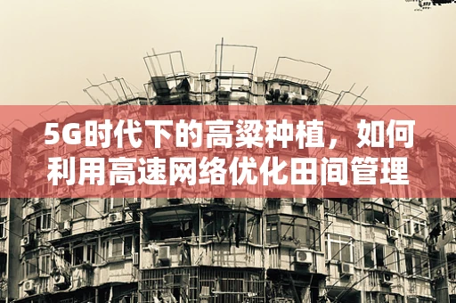 5G时代下的高粱种植，如何利用高速网络优化田间管理？