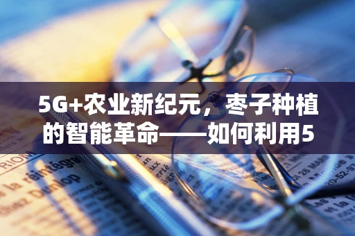 5G+农业新纪元，枣子种植的智能革命——如何利用5G技术提升枣子种植的精准管理与产量？