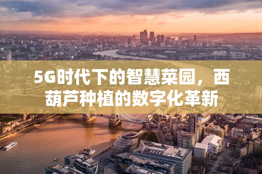 5G时代下的智慧菜园，西葫芦种植的数字化革新