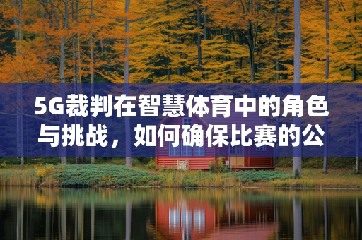 5G裁判在智慧体育中的角色与挑战，如何确保比赛的公平与公正？