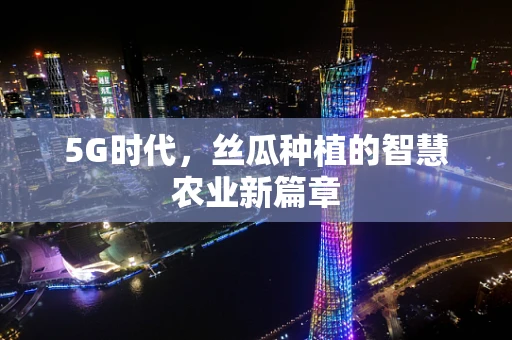 5G时代，丝瓜种植的智慧农业新篇章
