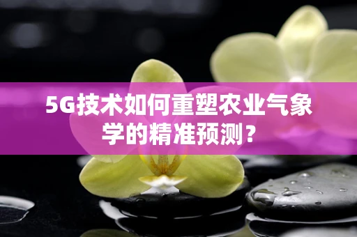 5G技术如何重塑农业气象学的精准预测？