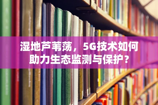 湿地芦苇荡，5G技术如何助力生态监测与保护？