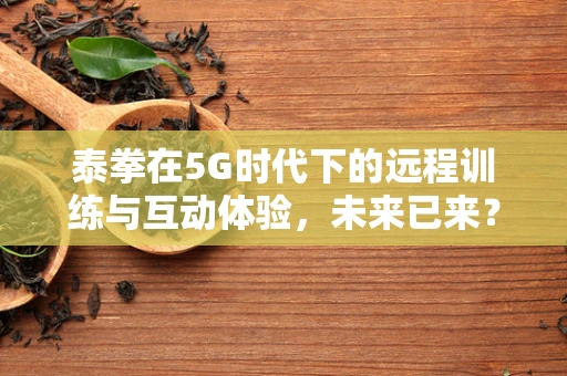 泰拳在5G时代下的远程训练与互动体验，未来已来？