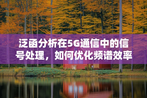 泛函分析在5G通信中的信号处理，如何优化频谱效率？