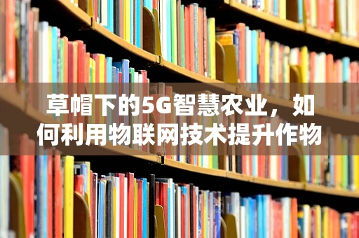 草帽下的5G智慧农业，如何利用物联网技术提升作物管理效率？