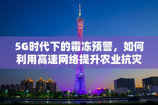 5G时代下的霜冻预警，如何利用高速网络提升农业抗灾能力？