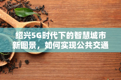 绍兴5G时代下的智慧城市新图景，如何实现公共交通的全面智能化？