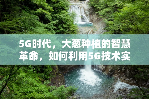 5G时代，大葱种植的智慧革命，如何利用5G技术实现精准农业？