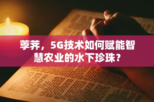 荸荠，5G技术如何赋能智慧农业的水下珍珠？
