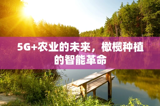5G+农业的未来，橄榄种植的智能革命