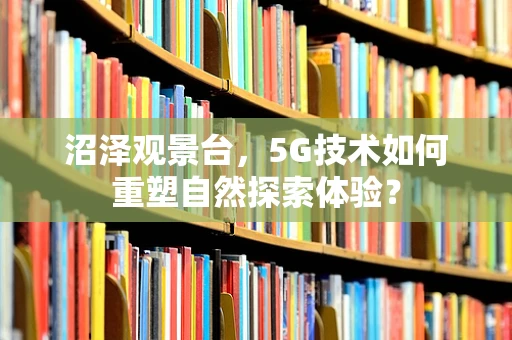 沼泽观景台，5G技术如何重塑自然探索体验？