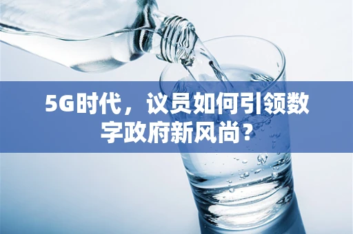 5G时代，议员如何引领数字政府新风尚？