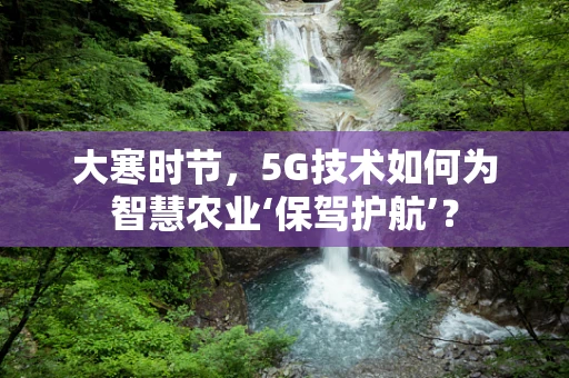 大寒时节，5G技术如何为智慧农业‘保驾护航’？