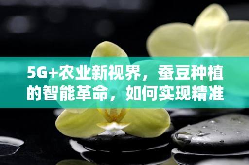 5G+农业新视界，蚕豆种植的智能革命，如何实现精准灌溉与病虫害监测？