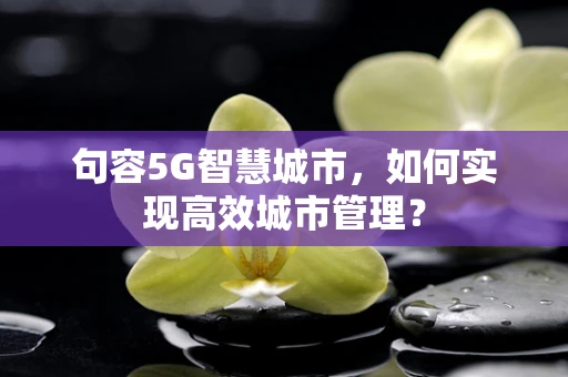 句容5G智慧城市，如何实现高效城市管理？