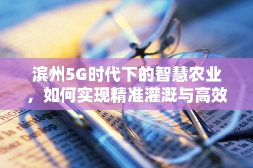 滨州5G时代下的智慧农业，如何实现精准灌溉与高效管理？