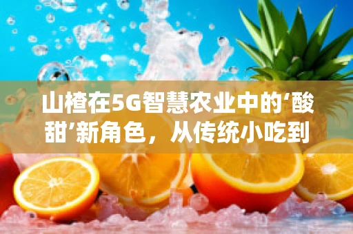 山楂在5G智慧农业中的‘酸甜’新角色，从传统小吃到智能监控的跨界之旅