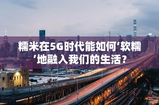 糯米在5G时代能如何‘软糯’地融入我们的生活？