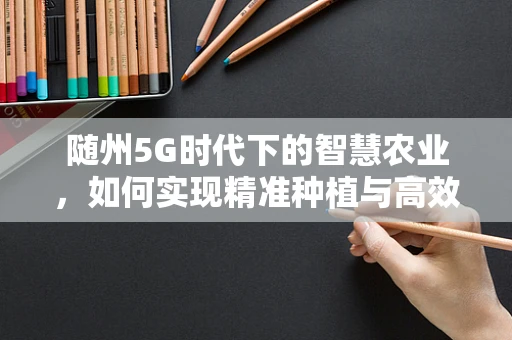 随州5G时代下的智慧农业，如何实现精准种植与高效管理？