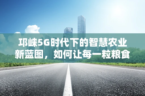邛崃5G时代下的智慧农业新蓝图，如何让每一粒粮食都智慧生长？