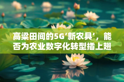 高粱田间的5G‘新农具’，能否为农业数字化转型插上翅膀？