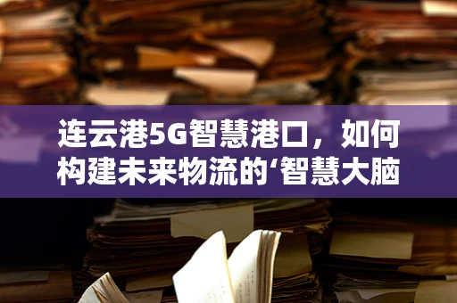 连云港5G智慧港口，如何构建未来物流的‘智慧大脑’？