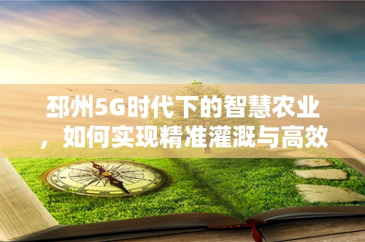 邳州5G时代下的智慧农业，如何实现精准灌溉与高效管理？
