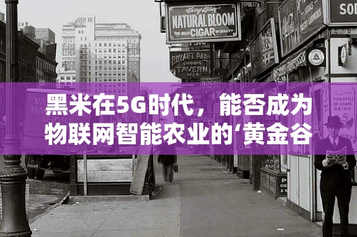 黑米在5G时代，能否成为物联网智能农业的‘黄金谷物’？