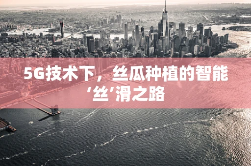 5G技术下，丝瓜种植的智能‘丝’滑之路