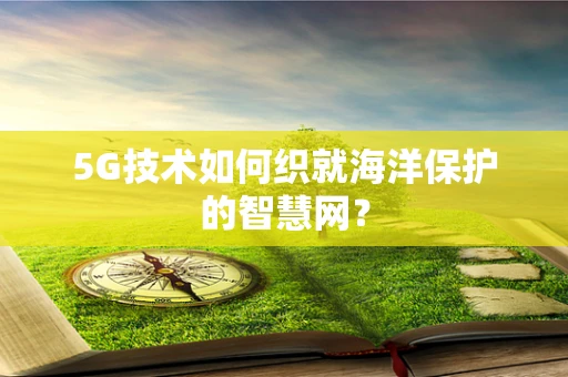 5G技术如何织就海洋保护的智慧网？