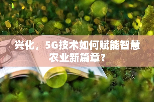 兴化，5G技术如何赋能智慧农业新篇章？