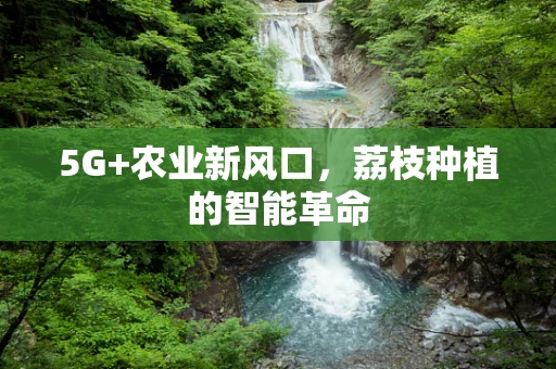 5G+农业新风口，荔枝种植的智能革命