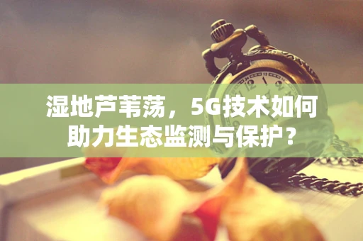 湿地芦苇荡，5G技术如何助力生态监测与保护？