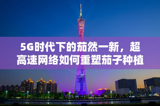 5G时代下的茄然一新，超高速网络如何重塑茄子种植与供应链管理？