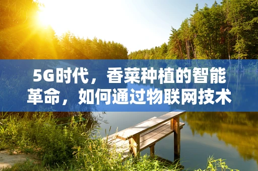 5G时代，香菜种植的智能革命，如何通过物联网技术实现精准灌溉？