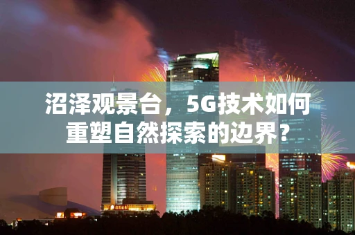 沼泽观景台，5G技术如何重塑自然探索的边界？