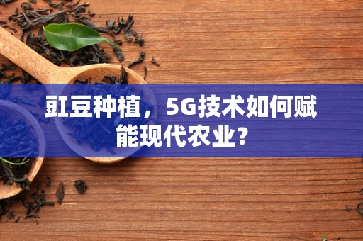 豇豆种植，5G技术如何赋能现代农业？