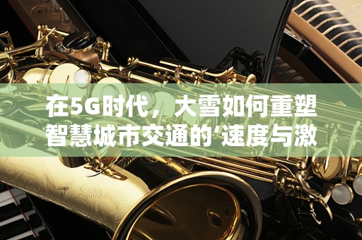 在5G时代，大雪如何重塑智慧城市交通的‘速度与激情’？