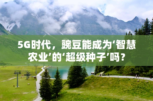 5G时代，豌豆能成为‘智慧农业’的‘超级种子’吗？