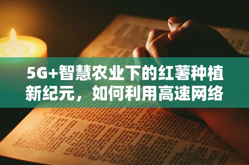 5G+智慧农业下的红薯种植新纪元，如何利用高速网络优化红薯产量与品质？