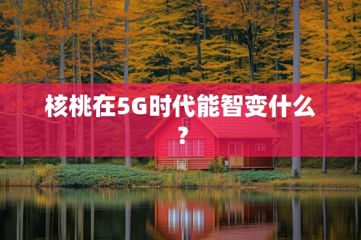 核桃在5G时代能智变什么？