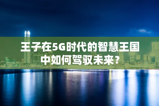 王子在5G时代的智慧王国中如何驾驭未来？