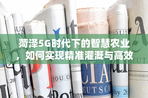 菏泽5G时代下的智慧农业，如何实现精准灌溉与高效管理？