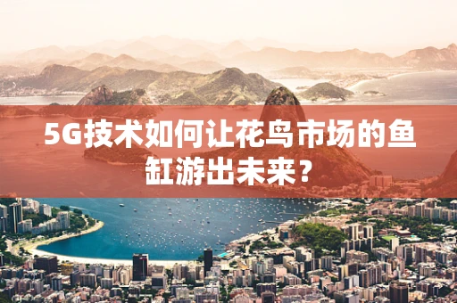 5G技术如何让花鸟市场的鱼缸游出未来？