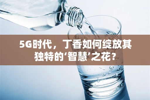 5G时代，丁香如何绽放其独特的‘智慧’之花？