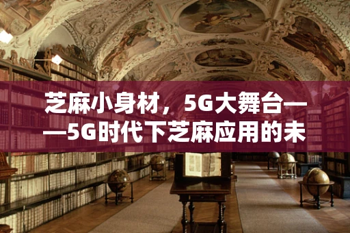 芝麻小身材，5G大舞台——5G时代下芝麻应用的未来挑战