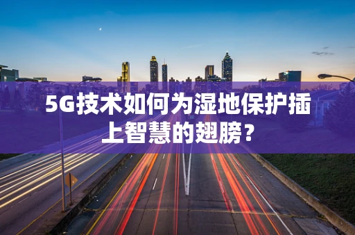 5G技术如何为湿地保护插上智慧的翅膀？